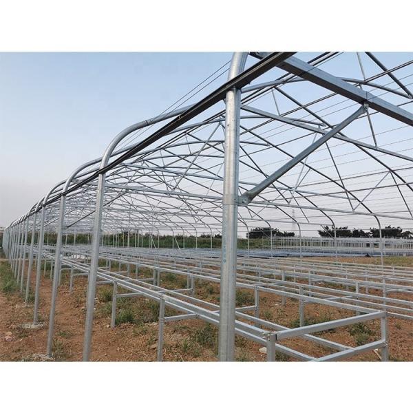 Customizable Metal Pipe Frame Greenhouse With 200micron Plastic Film