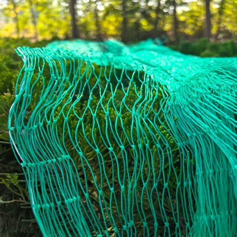 Green Color Anti Bird Netting For Blueberry Protection