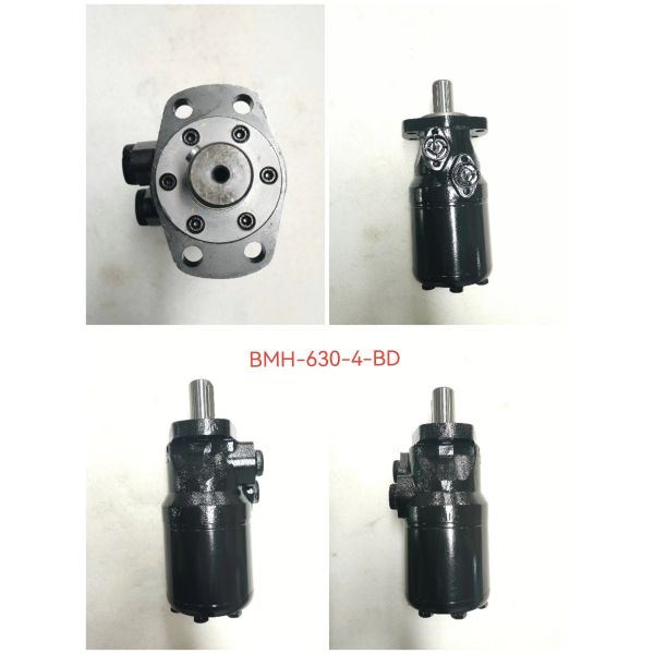 BMH-630-4BD BMH-500-4BDN1 BMR-320-4BD-N1 BM1-200  BM1-250  Cycloidal Gear Motor / Industry Excavator Pump Parts