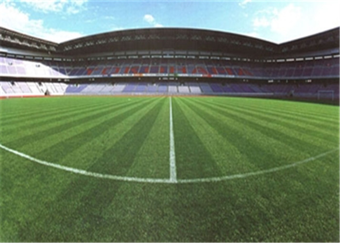 Outdoor PE PP Multifunction Playground Synthetic Artificial Grass Football Field