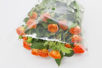 Ramalhete de empacotamento claro do saco do celofane OPP que envolve a flor fresca da luva