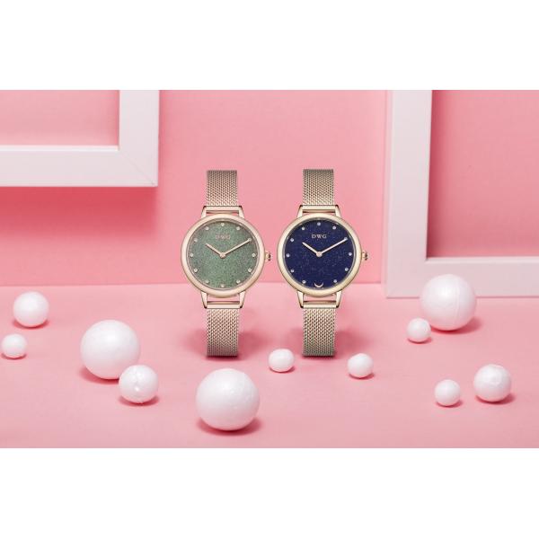 Кварц верхнего сегмента стальной полосы наблюдает дам с звездной шкалой неба и ремнем сетки