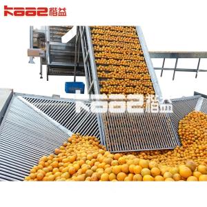 NFC Orange Juice Citrus Juice Extraction Equipment Automatic Juice Squeezer