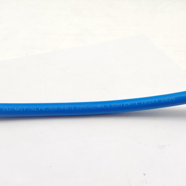 Instrumentation Cable 300/500V CU/XLPE/OS/FR/LSZH/GSWA/LSZH Ex-i 1х2х1