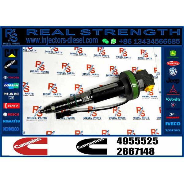 NINE BRAND высококачественный дизельный инжектор 4955525 Qsk19 инжектор инжектор топлива 4955525