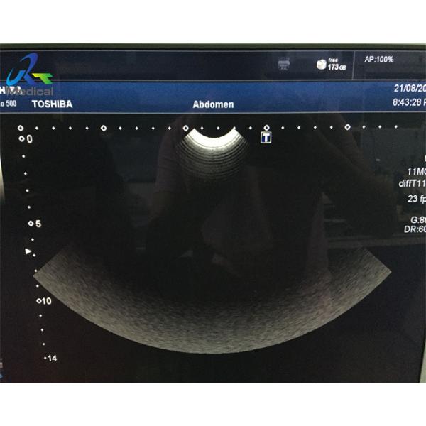 PVT-712BT 11MC4 Micro Convex Ultrasound Probe Hospital Medical Device