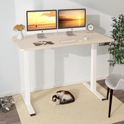 80 kgs Capacity Electric Height Adjustable Coffee Table for Kids Learning and Writing