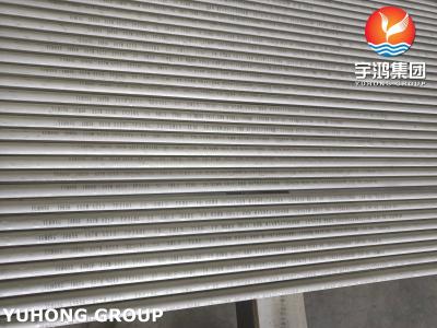 ASTM A213 TP316L Stainless Steel Seamless Heat Exchanger Bundles Tubes