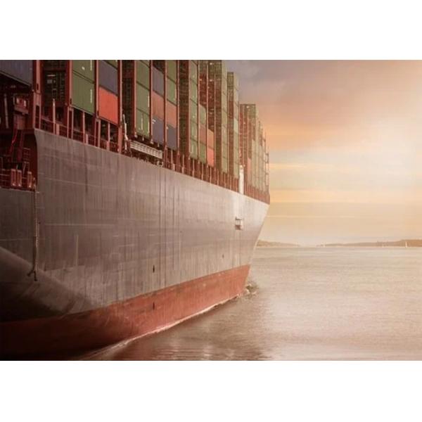 DDP LCL Sea Freight Logistics Door To Door Service