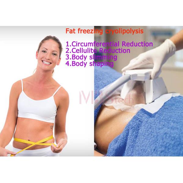 190mm 130mm двойной Chin Cryo Cryolipolysis уменьшая машину