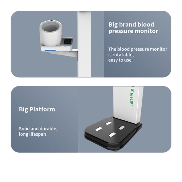 Bioimpedance Body Fat Analyzer Machine with Large Display Screen and Advertise Screen