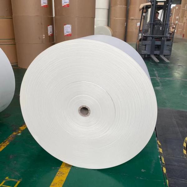 O PE tomado partido do produto comestível 2 revestiu o rolo de papel folha do copo de papel de 167 gramas