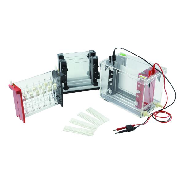13.2 Kg 2d Gel Electrophoresis System 460 × 230 × 400 Millimeter Volume