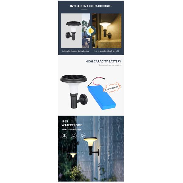 Стена внешнего беспроводного металла солнечная установила солнечное светлое IP65 водоустойчивое для дворов