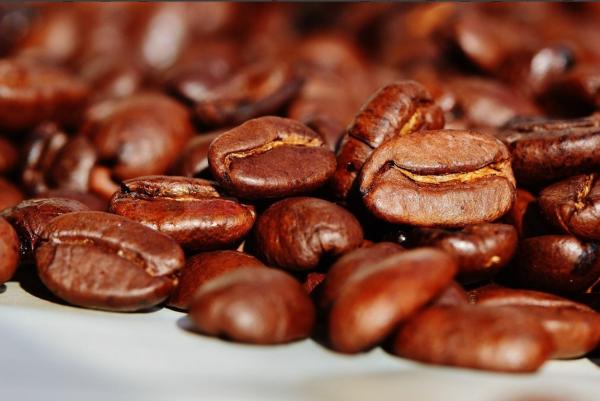 Raw Cosmetics Coffee Essential Oil COFFEA ARABICA COFFEE SEED OIL Dark Brown Oily Liquid