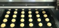 ISO9000 que reciproca as máquinas principais da fabricação da cookie do depositante