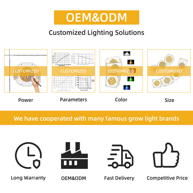 200w 200w Двухцветный Cob Led Chip 4055 для Снижаемого высокопроизводительного фотосветка