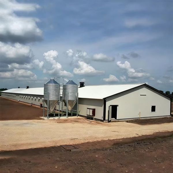 Flexible Design Steel Structure Chicken House With Great Thermal Properties And Low Maintenance
