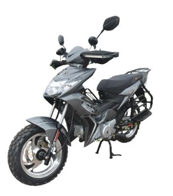 Estrada de SportbikeMotorcycle 110cc do FILHOTE do patim de Off Road bicicleta legal da sujeira da anti