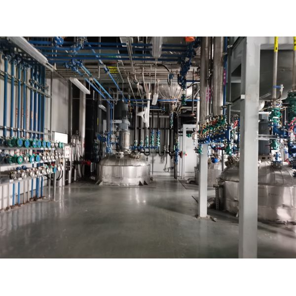2000L Capacity Continuous Plant Oil Extraction Equipment For Industrial Seed Processing