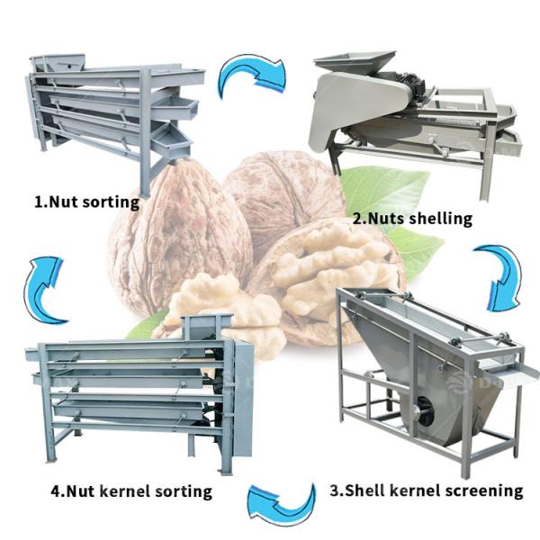 Commercial Usage Almond Processing Line Making Machine for Nuts Peanut Almond Chestnut