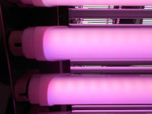 Full plastic T8 LED meat tube lights 1200mm 16W make food looks appetizing (HCC-T812-SS16-03S)