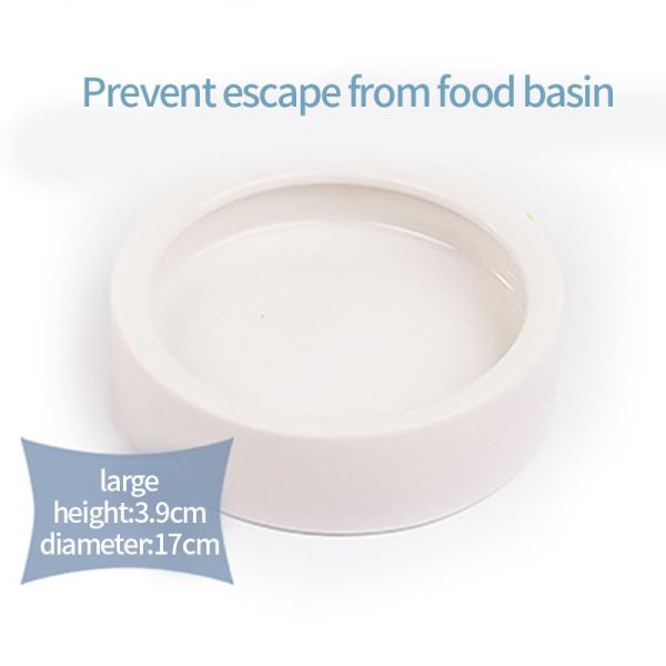Pet Bowl Prevents Bread Worms Setting Escaping Lizard Ceramic Water Food Dish Reptile