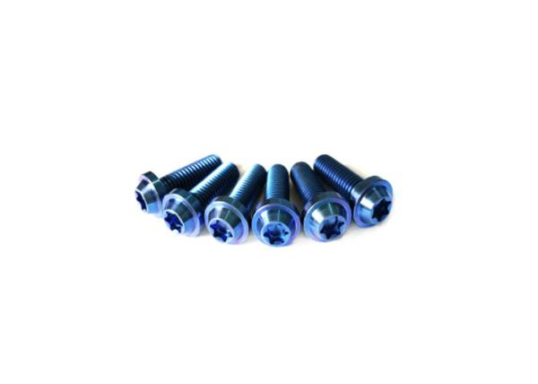 Allen Titanium Motorcycle Bolts GR5 TC4 Socket Titanium Torx Button Head Bolt