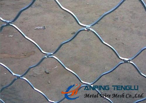 Beautiful Grid Mesh for Protection, Firm Structure & Corrosion Resistance