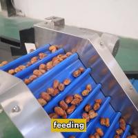 L'innovation a redéfini la machine de tri des dates standardisée avec une technologie avancée