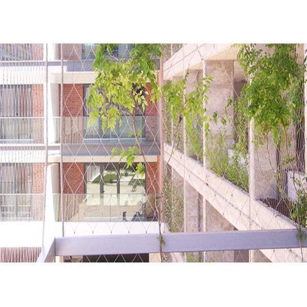 SS316 Green Wall Mesh / Ferruled Type Stainless Steel Wire Cable Mesh
