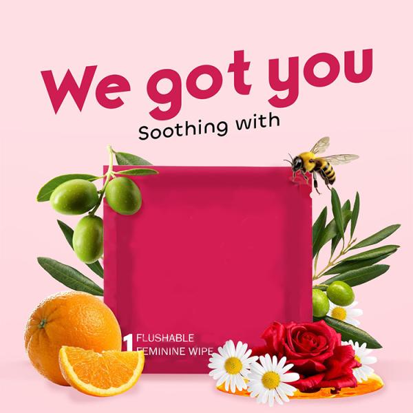 Wholesale 100pcs Ph Balanced 15*18cm Flushable Feminine wipes