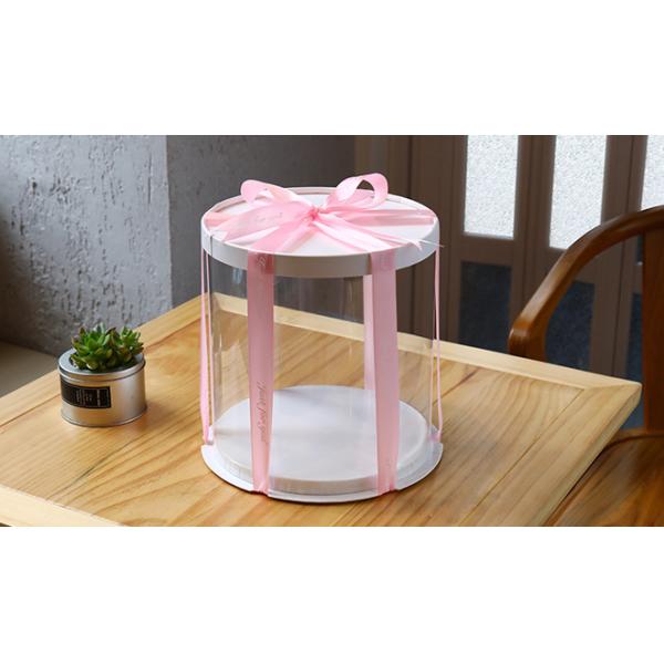 10 Inch Eco Friendly Plastic Packaging Round Transparent Food Grade PET Cake Boxes