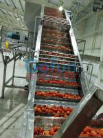 Chaîne de production de ketchup de tomate 25T/H obturation aseptique de catégorie comestible