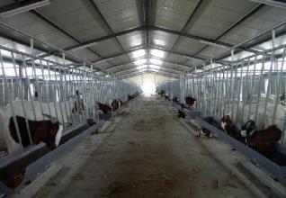 H irradia o sistema de drenagem galvanizado SheepShed da calha da água da exploração agrícola de exploração avícola