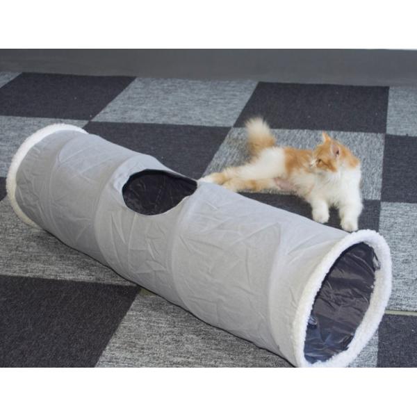 На открытом воздухе складной тоннель игры кота 2 Peepholes