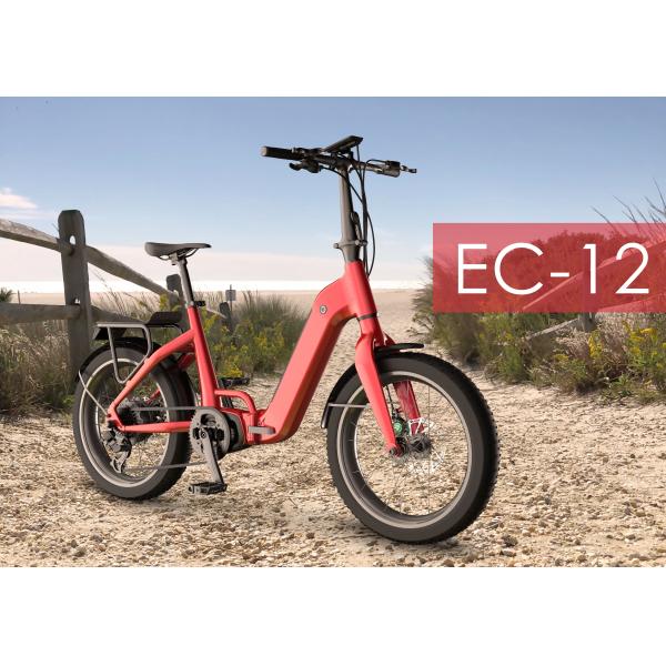 50Km/H Electric Motor Fat Sports City Bike 13.2AH Rear Hub