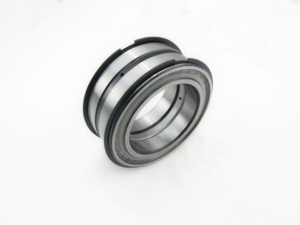 SL045006PP NR Double Row INA Bearings Germany Origin Brass Cage