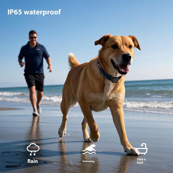 2025 Mini Interactive Remote Control Rechargeable E-Collar Dog Training IP67 Waterproof Plastic No Shock Vibration Reminders for