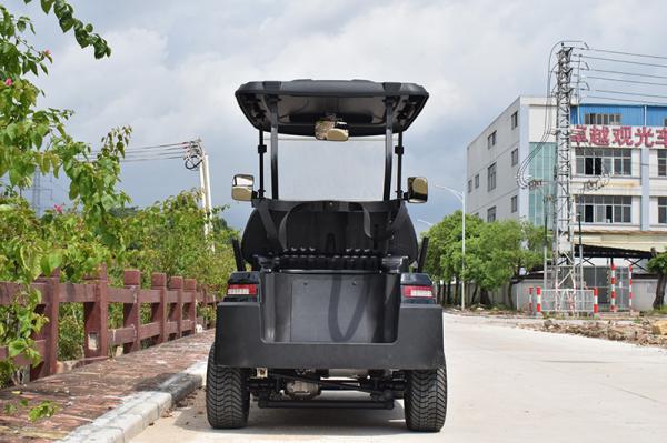 Convenient Electric Golf Buggy Italy Graziano Axle 12/1 Trojan Battery