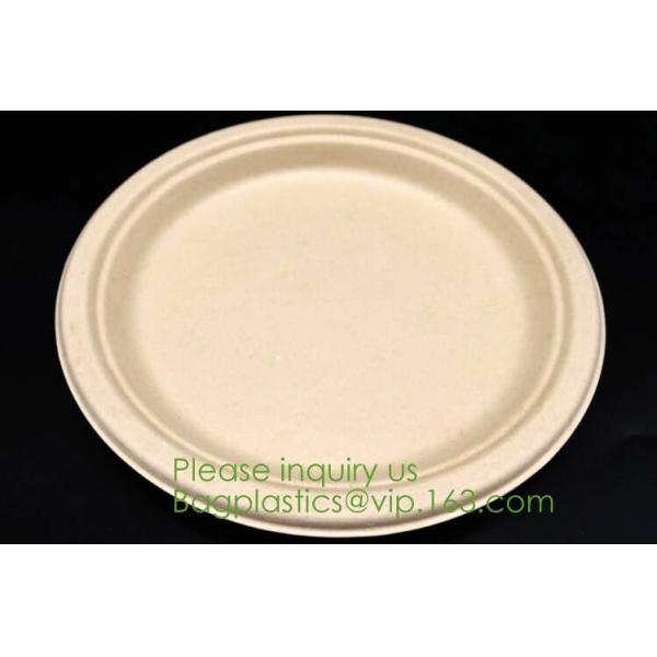 Food Eco Friendly Dinnerware Fruit Snack Biodegradable Corn Starch PLA Foamed