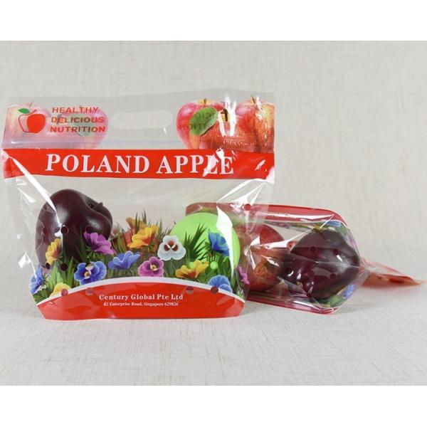 Standing Up Customized Colorful Zip-lock PET Laminated Packaging Bags for fruit and Vegetables Packing