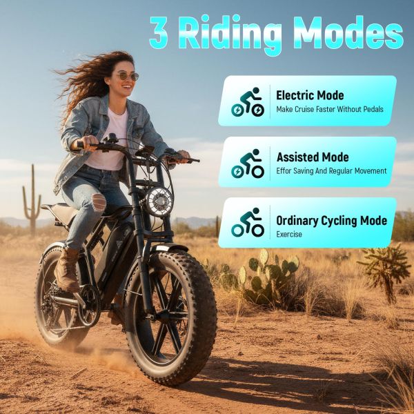 EU Stock 20 Inch Fat Tire E Bike 48V 15AH Electric Bike Vintage Off-Road E-Bike Hydraulic Disc Brakes E Bike
