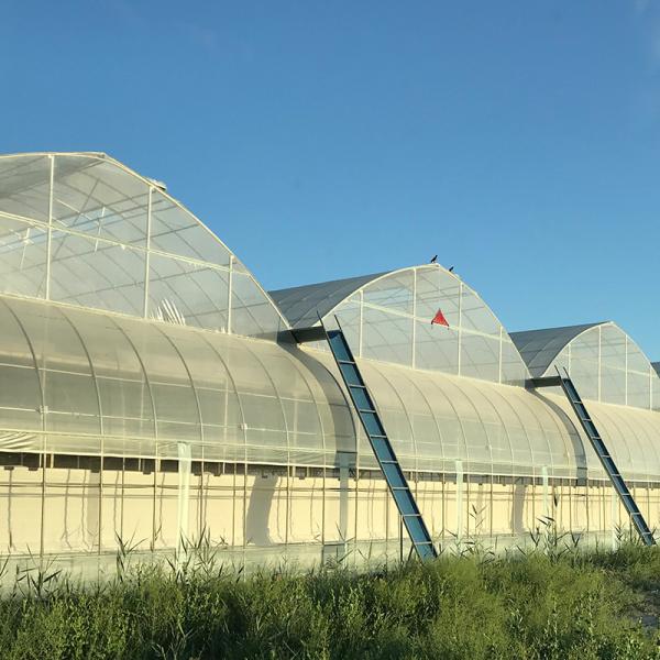 Sistema de aquecimento de água Modalidade coreana Estufas agrícolas para a agricultura durante todo o ano