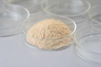 Keratinase Industrial Enzyme Used For Leather Medicine And Cosmetics