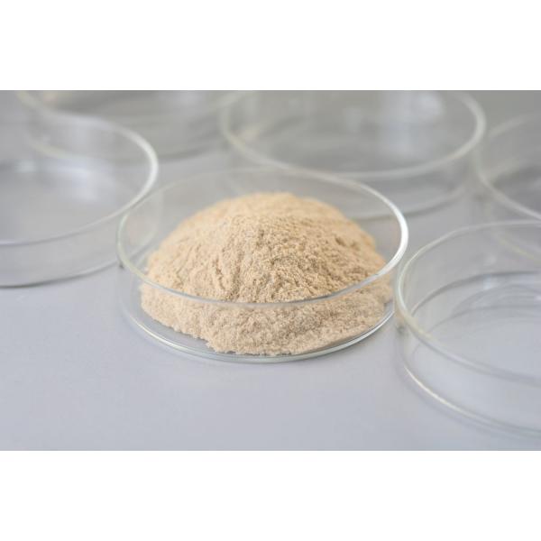 100000-800000U/G Эстерификация Трансэстерификация Липаза порошок / жидкость