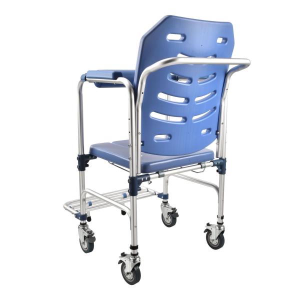 wheelchair with toilet seat