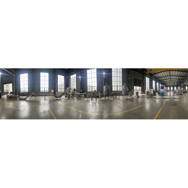 Stainless Steel Food Grade Mango Juice Peeling Processing Line 300 - 500/h