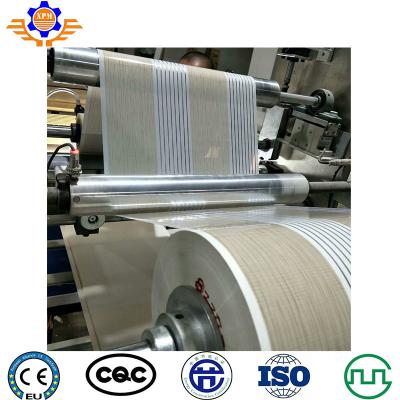 150 To 320Kg/H PVC Ceiling Production Line Plastic Panel Sheet Making Machine Board Extruder