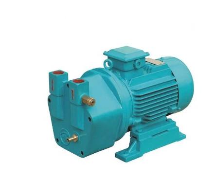 1.3 L /Min Micro Self Priming Vacuum Pump AAC Autoclave